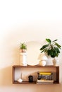 Minimalist interior white design room with wooden shelf, round mirror, lamp, green plants, decorative elements Royalty Free Stock Photo