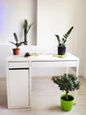 Minimalist interior white desktop furnished with green potted plants Royalty Free Stock Photo