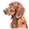 Minimalist Irish Setter Watercolor Painting on Soft Pastel Background. Perfect for Invitations and Posters.
