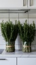 Minimalist kitchen adorned with bundles of fresh green rosemary