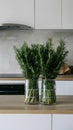 Minimalist kitchen adorned with bundles of fresh green rosemary