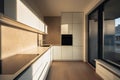 Minimalist kitchen in morning sun