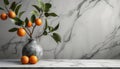 Minimalist kitchen with white quartz countertop, plants, oranges, and space for text