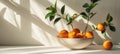 Minimalist kitchen white quartz countertop, potted plant, and oranges, perfect for text placement