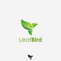 Minimalist leaf bird logo icon vector template