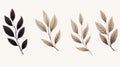 Minimalist Leaf And Branch Drawings On White Background