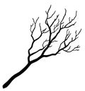 Minimalist leafless tree illustration in bold black line art on white background Royalty Free Stock Photo