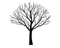 Minimalist leafless tree illustration in bold black line art on white background Royalty Free Stock Photo