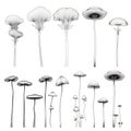 Minimalist Line Art Mushrooms: Thin Steel Forms On White Background