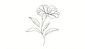 A minimalist line drawing of a flower showcases a single, elega Royalty Free Stock Photo