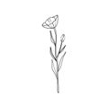 Minimalist linear flower art. Elegant floral drawing, small botanical element, fine line tattoo sketch. Vector design Royalty Free Stock Photo