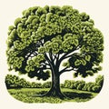 Minimalist Linocut Art: Creating A Simple, One-color Sycamore Artwork
