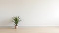 Minimalist Living: Empty Room With White Walls And Spider Plant