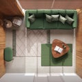 Minimalist living room with wooden walls in green tones. Fabric sofa with pillows, carpets and decors. Top view, plan, above. Royalty Free Stock Photo