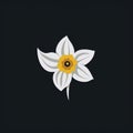 Simple Daffodil And Logo In Arctic White On Black Background