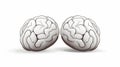 Minimalist logo featuring isolated human brain hemispheres on a white background Royalty Free Stock Photo
