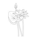 minimalist lotus flower tattoo drawings, lotus flower drawings, lotus flower drawing for kids, simple lotus flower line art,