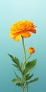 Minimalist Marigold: 3d Rendering Of A Vibrant Flower For World-class And Tcl 5-series Wallpaper