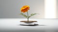 Minimalist Marigold Still Life In Bryce 3d Royalty Free Stock Photo