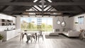 Minimalist mezzanine loft, kitchen, living and bedroom, wooden r