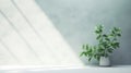 Minimalist Mint Foliage On Concrete Wall: Ultra Photorealistic Still Life Royalty Free Stock Photo