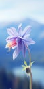 Minimalist Mobile Wallpaper: Elegant Blue Columbine In Sharp Focus Royalty Free Stock Photo