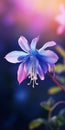 Minimalist Mobile Wallpaper Elegant Columbine On Blurred Background Royalty Free Stock Photo