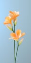 Minimalist Mobile Wallpaper: Elegant Freesia In Sharp Focus