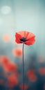 Minimalist Mobile Wallpaper: Elegant Red Poppy On Blue Background