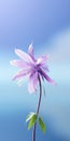 Minimalist Purple Columbine Mobile Wallpaper For Sensational And Samsung Tu8000