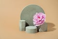 minimalist mockup with concrete shapes and pion blooming