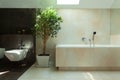 Minimalist modern bathroom in daylight