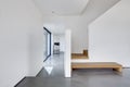 Minimalist modern entrance hall