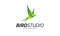 Bird Studio Logo Template