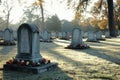 Minimalist morning scene at a tranquil cemetery for reflection and remembrance Royalty Free Stock Photo