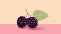 Minimalist Mulberry Illustration On Pastel Background