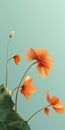 Minimalist Nasturtium Mobile Wallpaper In Cinema4d Style