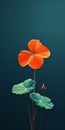 Minimalist Nasturtium Mobile Wallpaper: First-rate And Sony Xbr-x750h