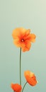 Minimalist Nasturtium Mobile Wallpaper: Hyperrealistic Illustration In Delicate Materials