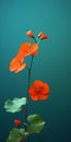 Minimalist Nasturtium Mobile Wallpaper In Hyperrealistic Style