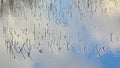 Reed plants sticking out of the water with reflection or blue sky with clouds Royalty Free Stock Photo