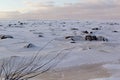 Minimalist north cold landscape in winter with frozen shore, crack broken ice, black stones, horizon, soft clouds, little branch.