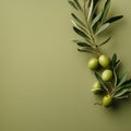 Minimalist Olive Background With Dynamic Color Combinations