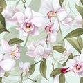 Minimalist orchid pattern for a minimalist home