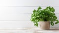 Minimalist Parsley Weed Composition On White Wood Bench