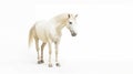 Minimalist photography of a cream horse Royalty Free Stock Photo