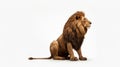 Minimalist photography of a Lion King