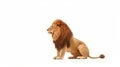 Minimalist photography of a Lion King