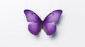 Minimalist Photography of a purple butterfly isolated clear white background Royalty Free Stock Photo