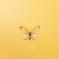 Minimalist Photorealistic Surrealism: Yellow Butterfly On Yellow Background